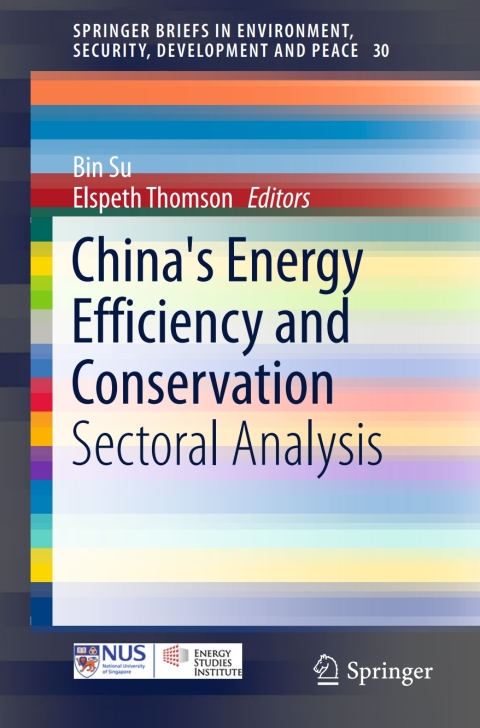 Cover image for book China's Energy Efficiency and Conservation