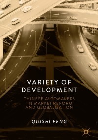 Cover image: Variety of Development 9789811059117
