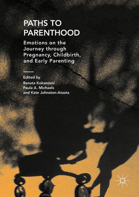 Cover image for book Paths to Parenthood