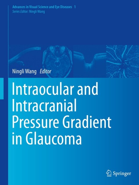 Cover image for book Intraocular and Intracranial Pressure Gradient in Glaucoma