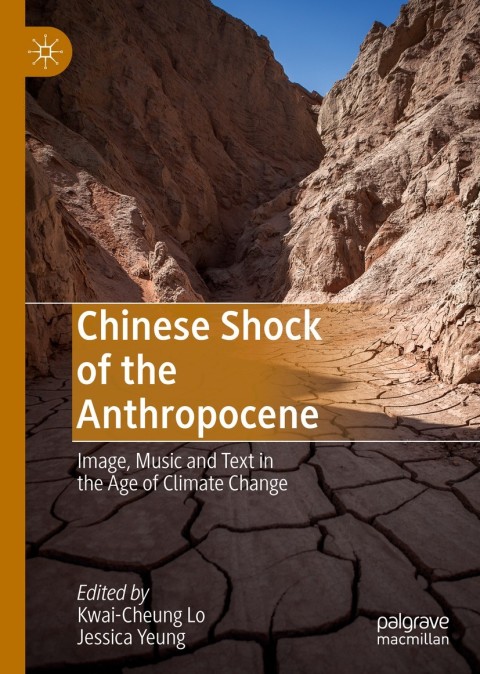 Cover image for book Chinese Shock of the Anthropocene