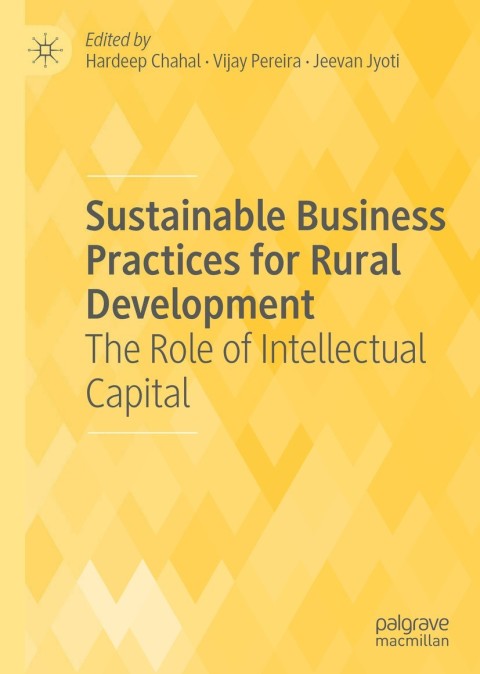 Cover image for book Sustainable Business Practices for Rural Development
