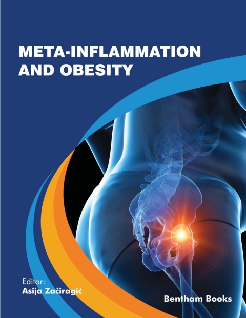 Cover image for book Meta-Inflammation and Obesity