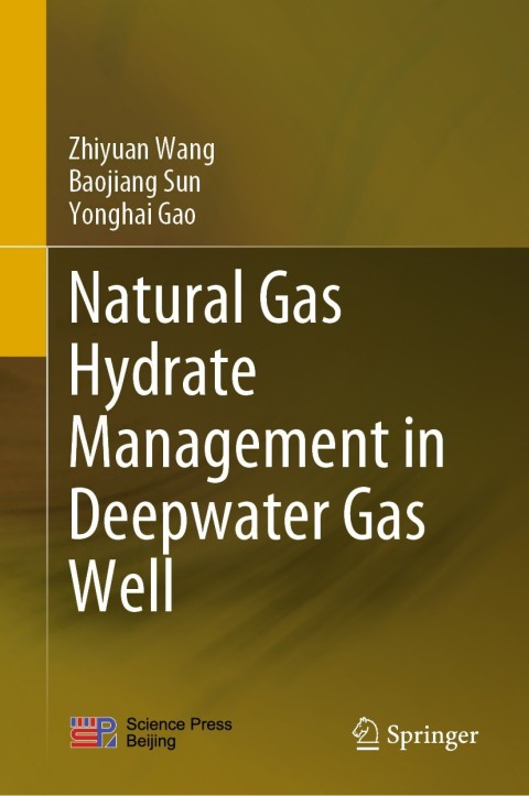 Cover image for book Natural Gas Hydrate Management in Deepwater Gas Well