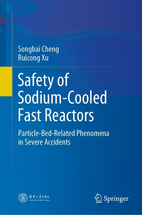 Safety of Sodium-Cooled Fast Reactors 