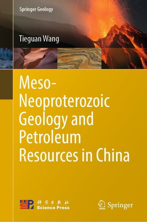 Cover image for book Meso-Neoproterozoic Geology and Petroleum Resources in China
