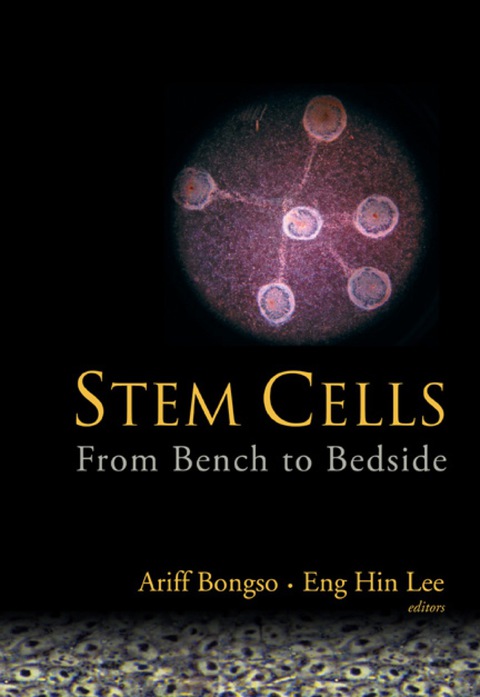 Cover image for book Stem Cells: From Bench To Bedside