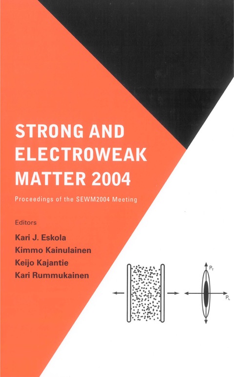Cover image for book STRONG & ELECTROWEAK MATTER 2004