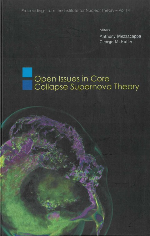 Cover image for book Open Issues In Core Collapse Supernova Theory