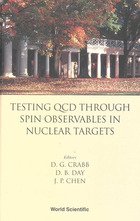 Cover image for book TESTING QCD THROUGH SPIN OBSERVABLES....