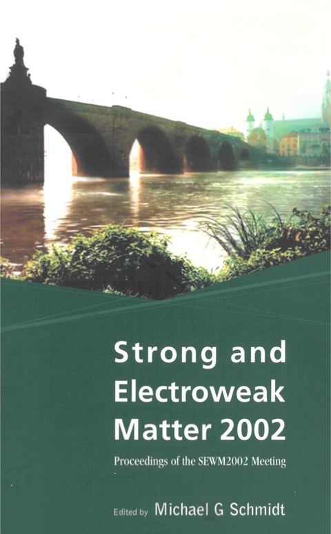 Cover image for book STRONG & ELECTROWEAK MATTER 2002