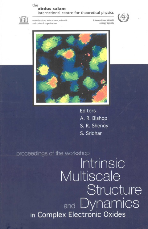 Cover image for book INTRINSIC MULTISCALE STRUCTURE & DYNAM..