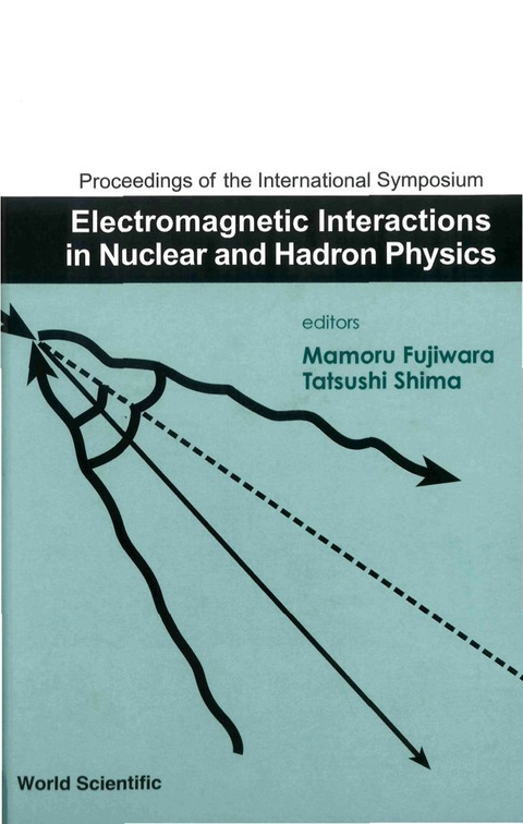Cover image for book ELECTROMAGNETIC INTERACTIONS IN NUCLEA..