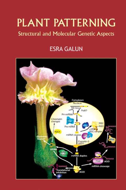 Cover image for book Plant Patterning: Structural And Molecular Genetic Aspects