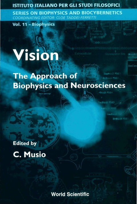 Cover image for book VISION                             (V11)