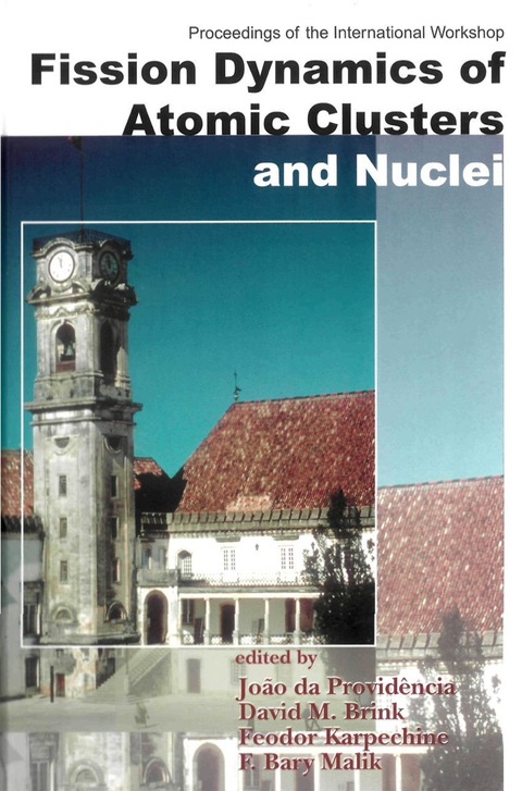 Cover image for book FISSION DYNAMICS OF ATOMIC CLUSTERS.....