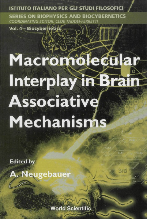 Cover image for book Macromolecular Interplay In Brain Associative Mechanisms