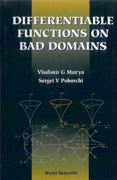 Cover image for book DIFFERENTIABLE FUNCTIONS ON 'BAD'DOMAINS