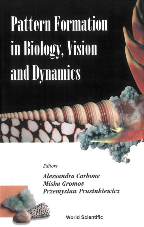 Cover image for book PATTERN FORMATION IN BIOLOGY, VISION...