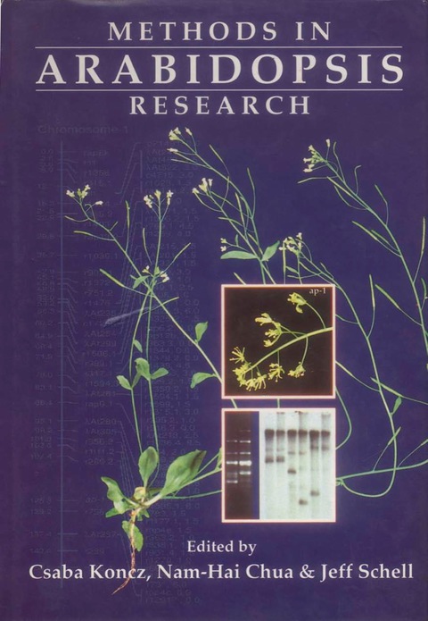 Cover image for book Methods in Arabidopsis Research