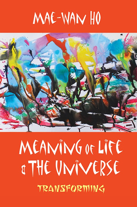 Cover image for book MEANING OF LIFE AND THE UNIVERSE