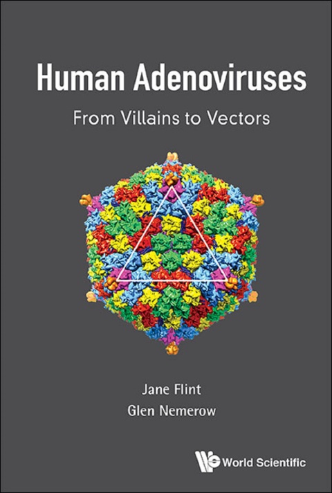 Cover image for book Human Adenoviruses: From Villains to Vectors
