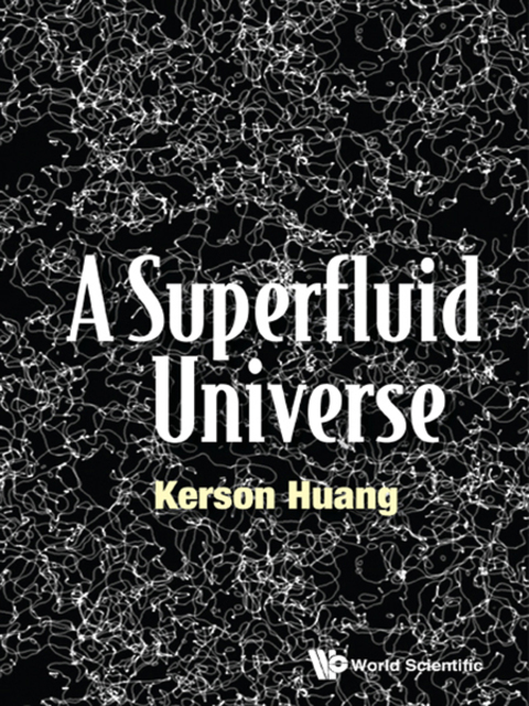 Cover image for book A Superfluid Universe
