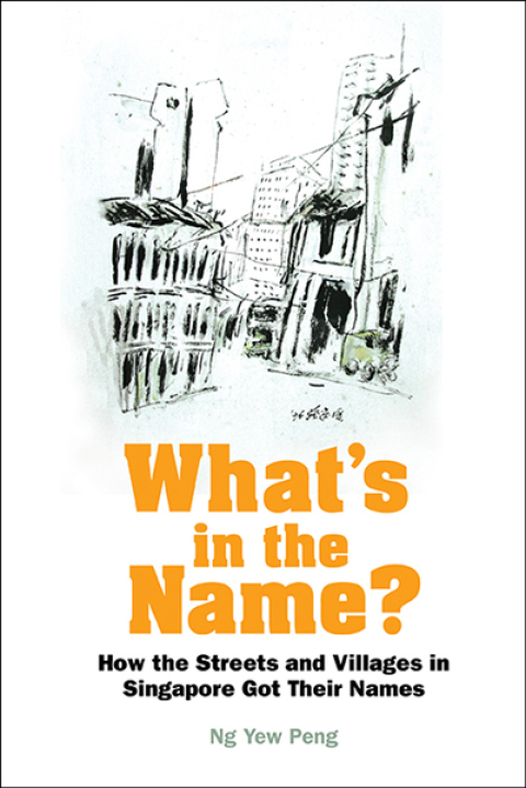 Cover image for book What's in the Name?: How the Streets and Villages in Singapore Got Their Names