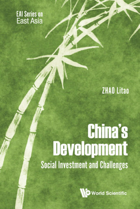 Cover image for book China's Development: Social Investment and Challenges