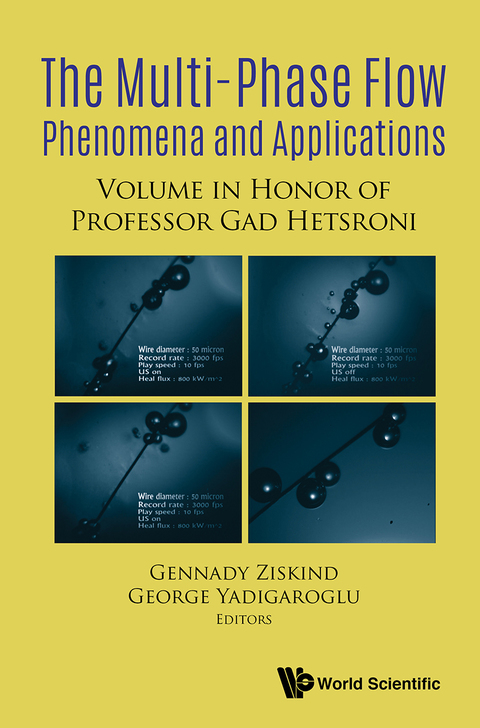 Cover image for book Multiphase Flow Phenomena and Applications: Memorial Volume in Honor of Gad Hetsroni
