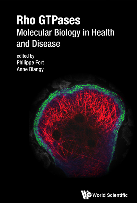 Cover image for book Rho GTPases: Molecular Biology in Health and Disease