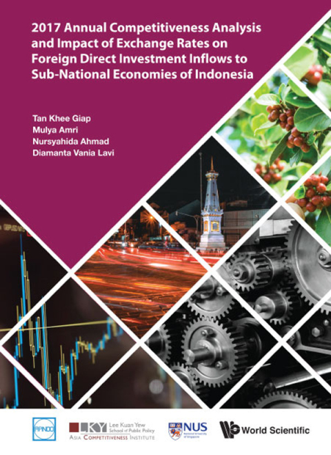 Cover image for book 2017 Annual Competitiveness Analysis and Impact of Exchange Rates on Foreign Direct Investment Inflows to Sub-National Economies of Indonesia