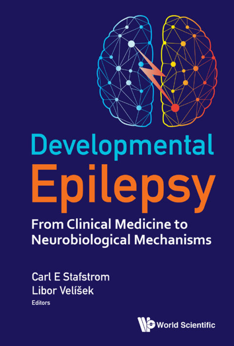 Cover image for book Developmental Epilepsy: From Clinical Medicine to Neurobiological Mechanisms