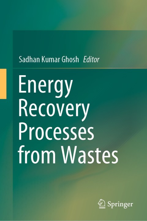 Cover image for book Energy Recovery Processes from Wastes
