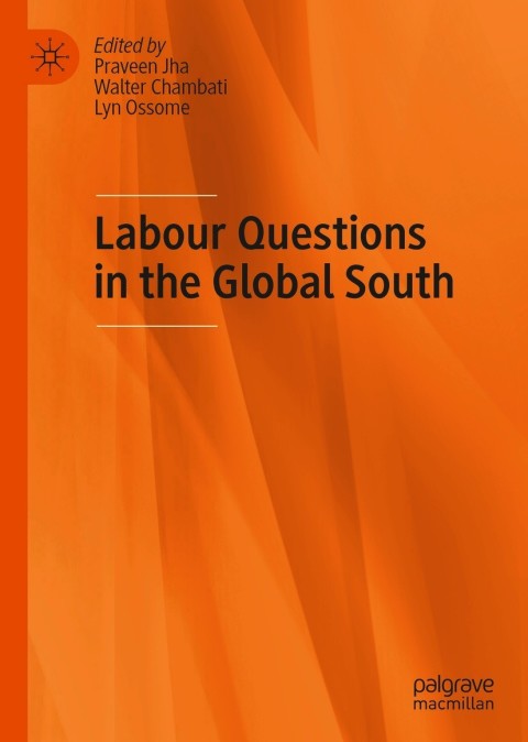 Cover image for book Labour Questions in the Global South