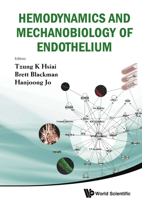 Cover image for book Hemodynamics And Mechanobiology Of Endothelium