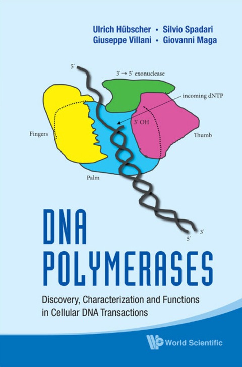 Cover image for book Dna Polymerases: Discovery, Characterization And Functions In Cellular Dna Transactions