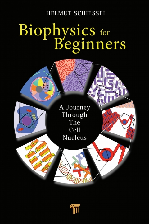 Cover image for book Biophysics for Beginners