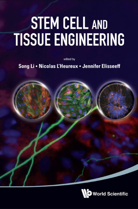 Cover image for book STEM CELL AND TISSUE ENGINEERING