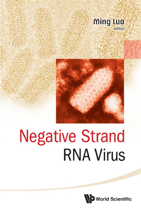 Cover image for book Negative Strand Rna Virus