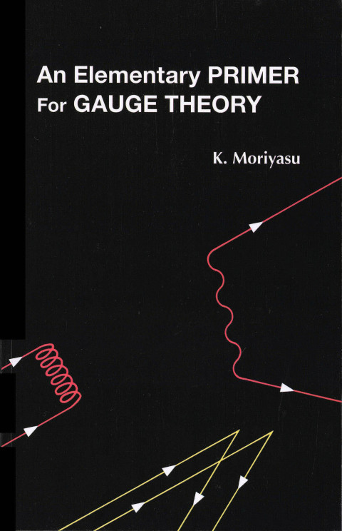 Cover image for book An Elementary Primer for Gauge Theory