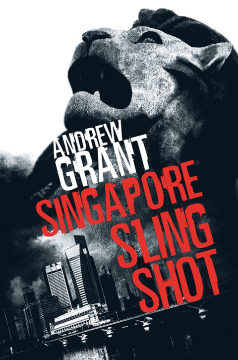 Cover image for book Singapore Sling Shot