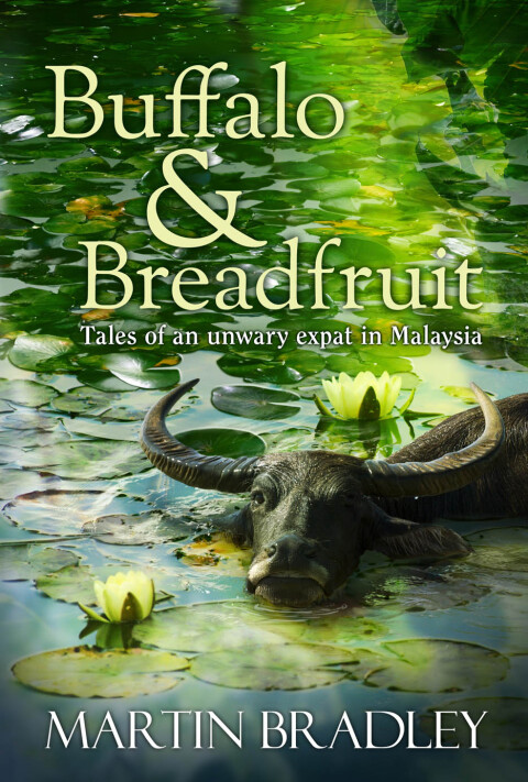 Cover image for book Buffalo & Breadfruit