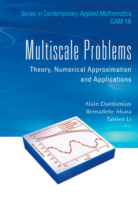Cover image for book MULTISCALE PROBLEMS