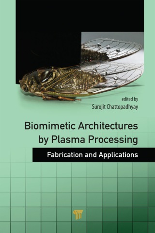Biomimetic Architectures by Plasma Processing