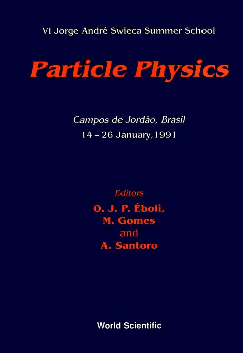 Cover image for book Particle Physics - Vi Jorge Andre Swieca Summer School