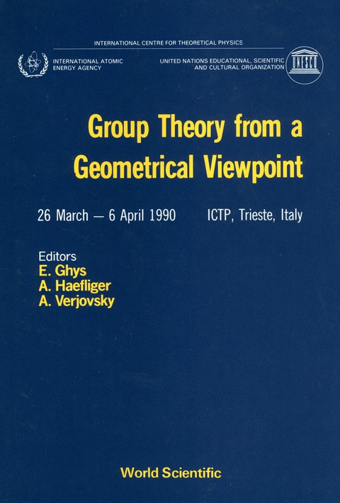 Cover image for book Group Theory From A Geometrical Viewpoint