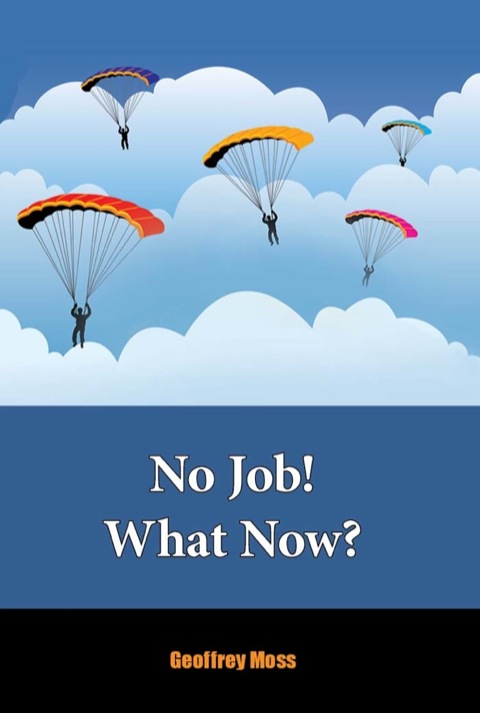 Cover image for book No Job! What Now?
