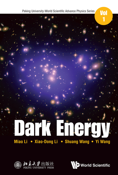 Cover image for book Dark Energy