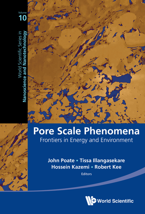 Cover image for book Pore Scale Phenomena: Frontiers in Energy and Environment
